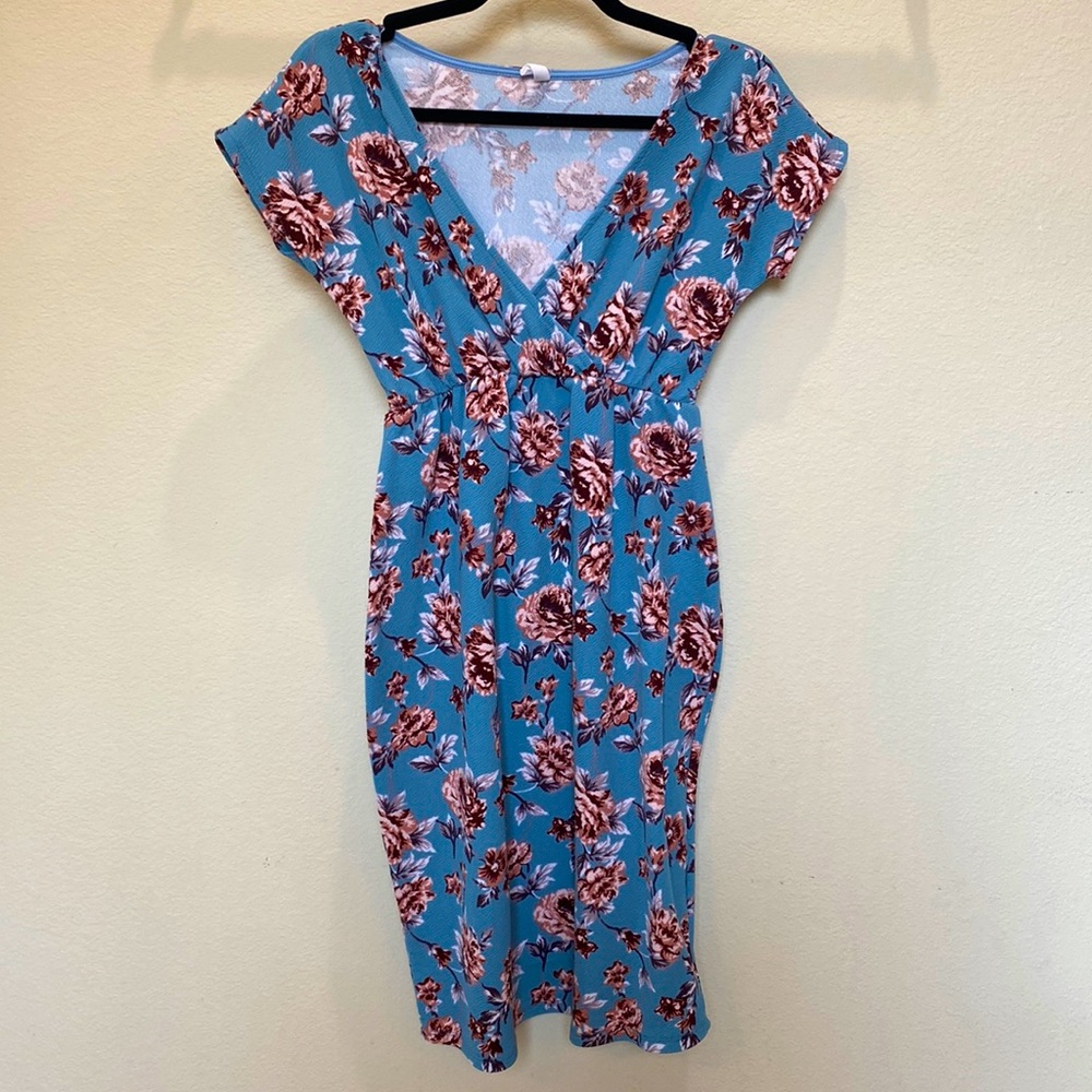 Pinkblush Maternity Dress